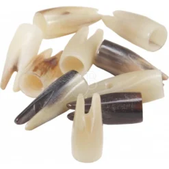 BIG TRADITION - Encoches En Corne (x12)