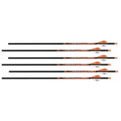 RAVIN - Traits Carbone .003 (x6)